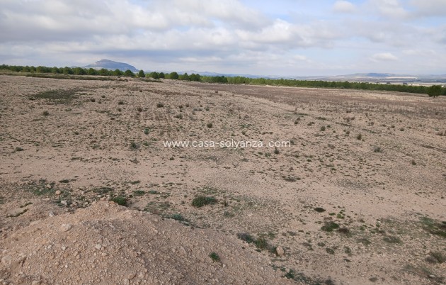 Revente - Land - Yecla - Inland