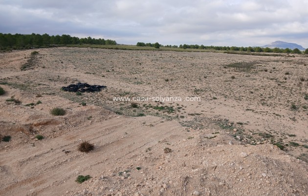 Revente - Land - Yecla - Inland