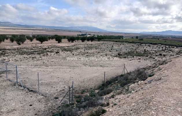 Revente - Land - Yecla - Inland