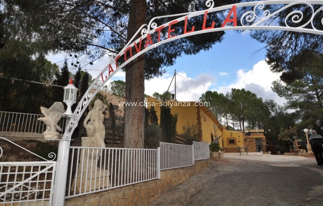 Wiederverkauf - Country Property/Finca - Pinoso - Inland