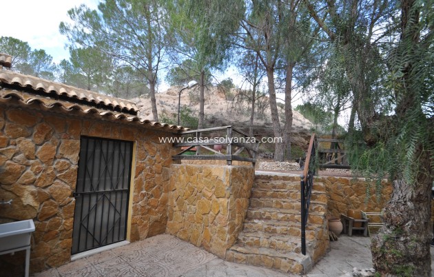 Wiederverkauf - Country Property/Finca - Pinoso - Inland
