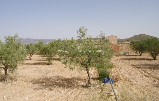 Revente - Land - Canada del Trigo - Inland