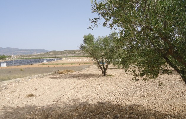 Revente - Land - Canada del Trigo - Inland