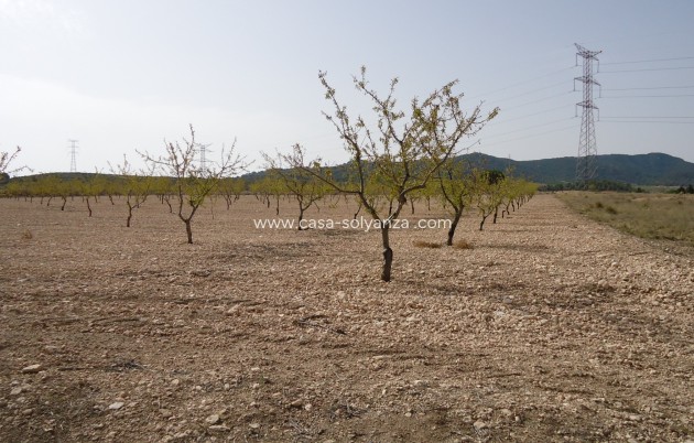 Revente - Land - Canada del Trigo - Inland