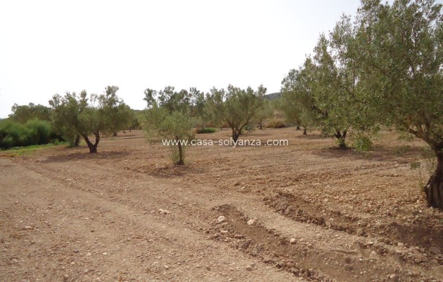 Revente - Land - Canada del Trigo - Inland