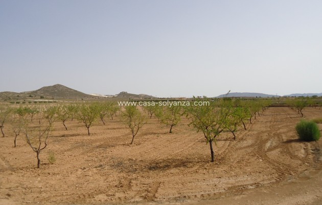 Revente - Land - Canada del Trigo - Inland