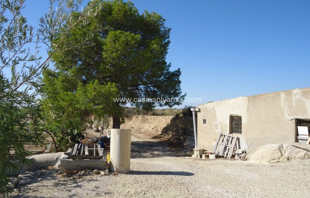 Wiederverkauf - Land - Abanilla - Inland