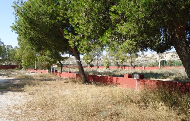 Revente - Commercial - Fortuna - Inland