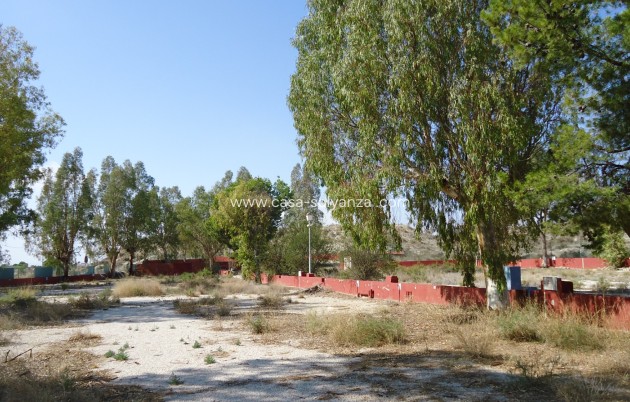 Revente - Commercial - Fortuna - Inland