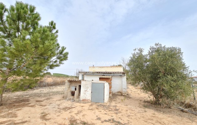 Revente - Country Property/Finca - Pinoso - Inland