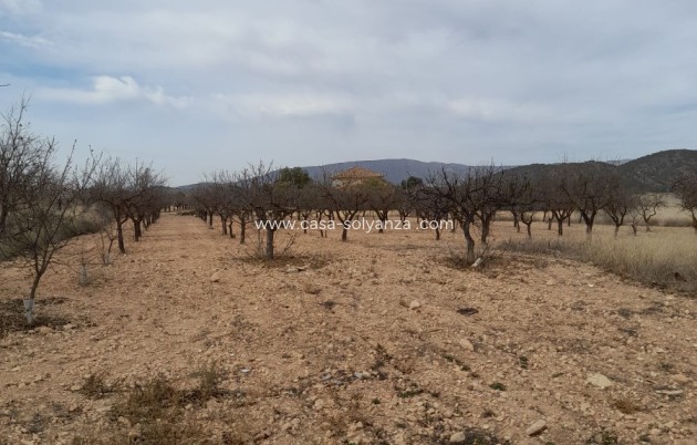 Revente - Maison de ville - Casas del Señor - Inland