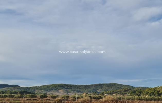 Herverkoop - Land - Monóvar - Inland