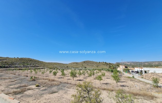 Revente - Villa - Barinas - Inland