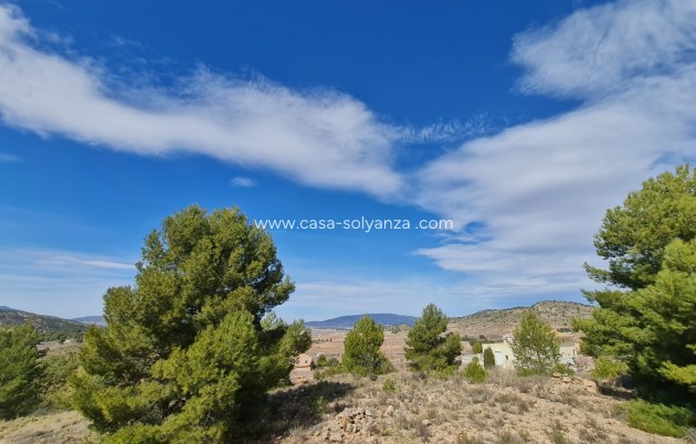 Wiederverkauf - Land - Pinoso - Inland