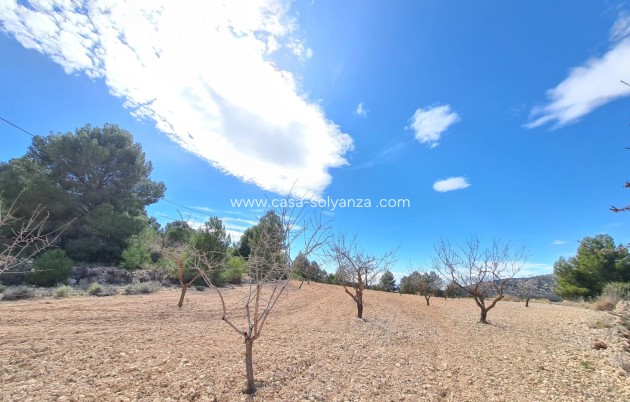 Wiederverkauf - Land - Pinoso - Inland