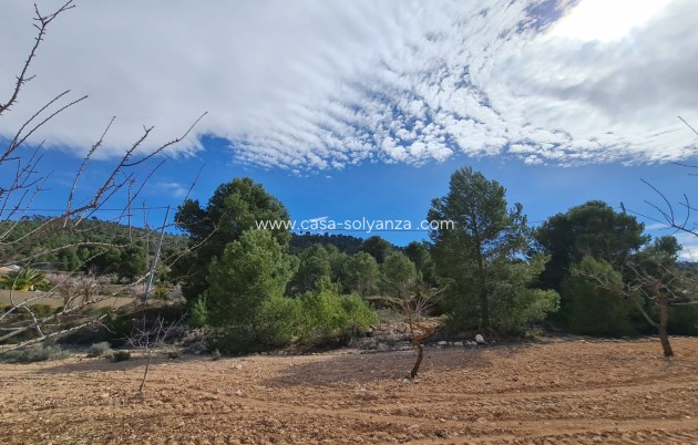 Wiederverkauf - Land - Pinoso - Inland