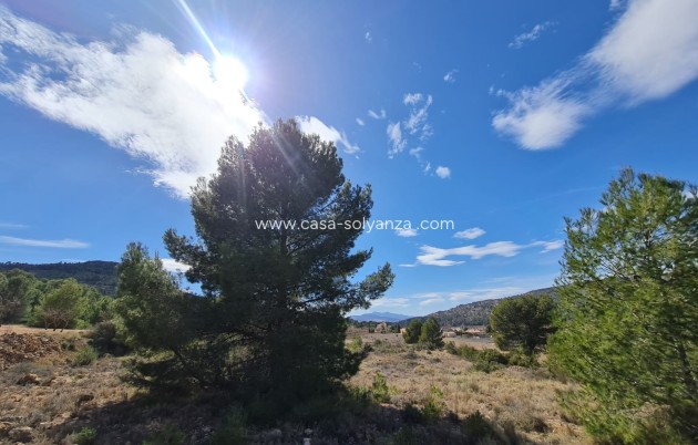 Wiederverkauf - Land - Pinoso - Inland