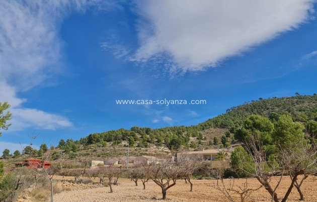 Wiederverkauf - Land - Pinoso - Inland