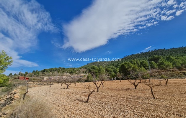 Wiederverkauf - Land - Pinoso - Inland