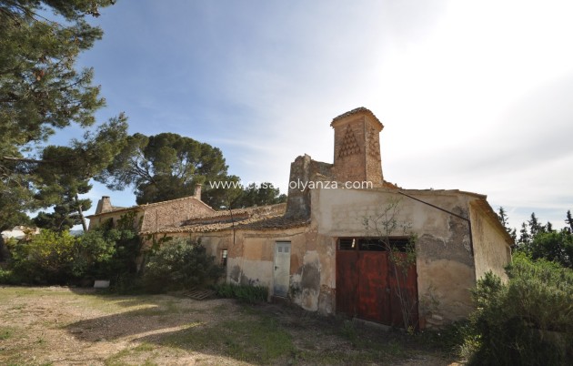 Revente - Country Property/Finca - Yecla - Inland