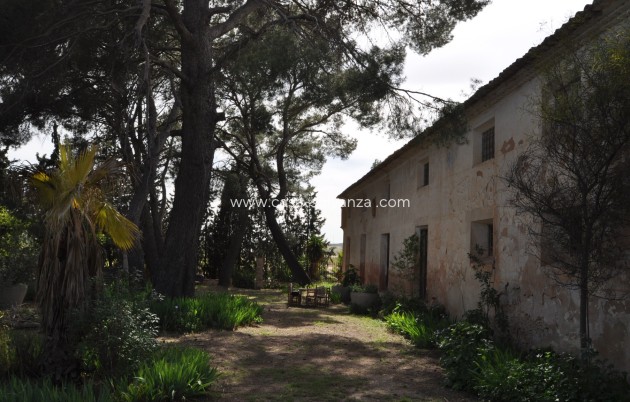 Revente - Country Property/Finca - Yecla - Inland