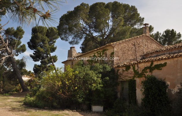 Revente - Country Property/Finca - Yecla - Inland