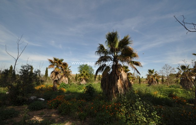 Revente - Country Property/Finca - Yecla - Inland