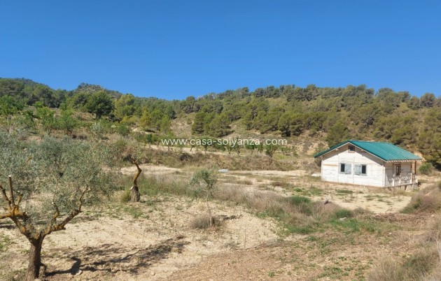 Revente - Villa - Jumilla - Inland