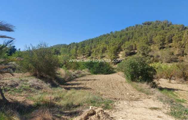 Revente - Villa - Jumilla - Inland