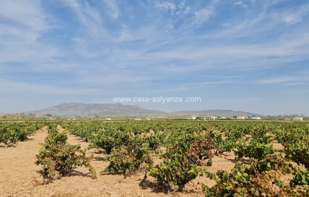 Revente - Land - Pinoso - Inland