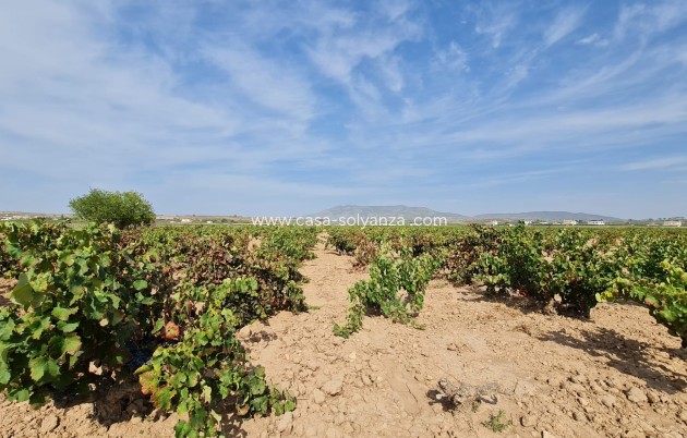 Revente - Land - Pinoso - Inland