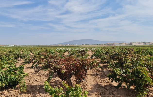Revente - Land - Pinoso - Inland