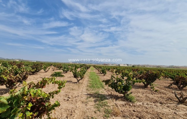 Revente - Land - Pinoso - Inland