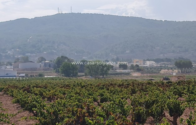 Revente - Land - Pinoso - Inland