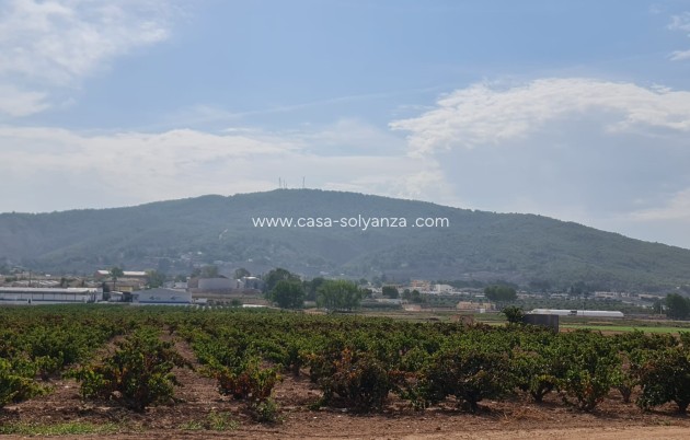 Revente - Land - Pinoso - Inland
