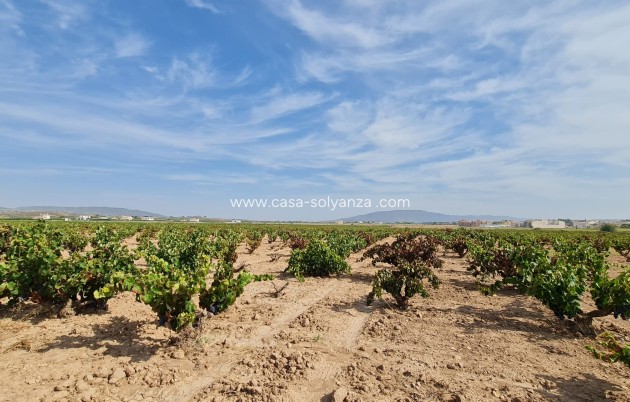 Revente - Land - Pinoso - Inland