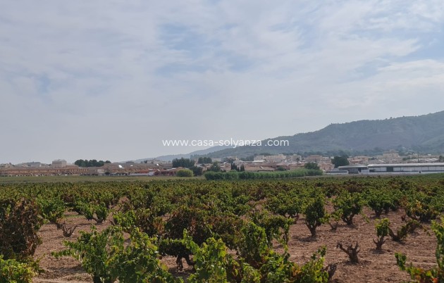 Revente - Land - Pinoso - Inland