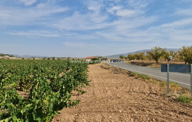 Revente - Land - Pinoso - Inland