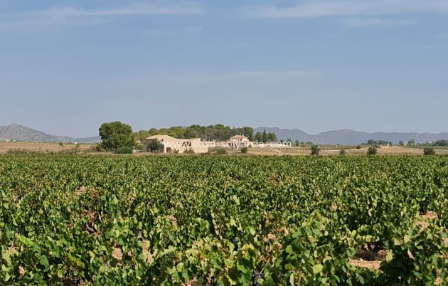 Revente - Land - Pinoso - Inland