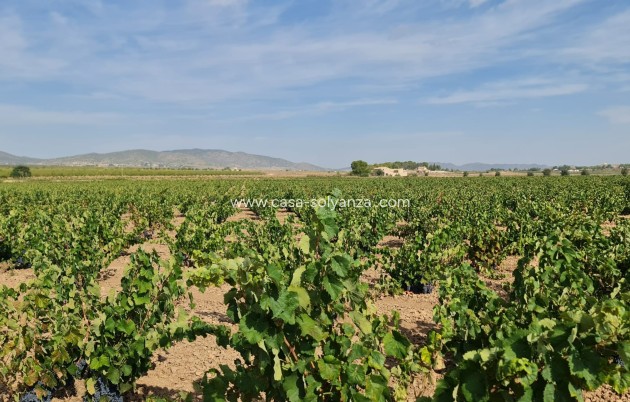 Revente - Land - Pinoso - Inland