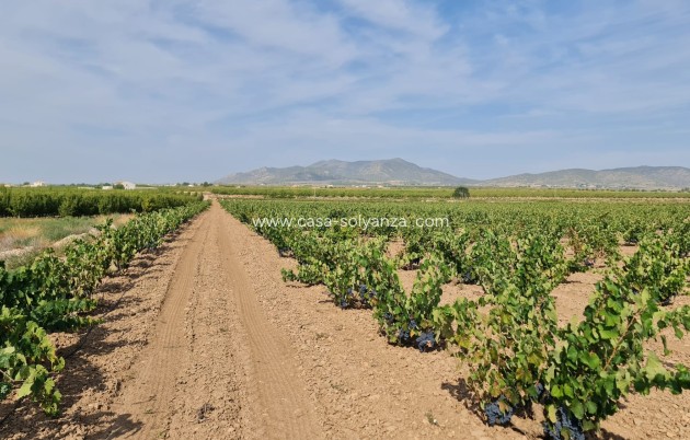 Revente - Land - Pinoso - Inland