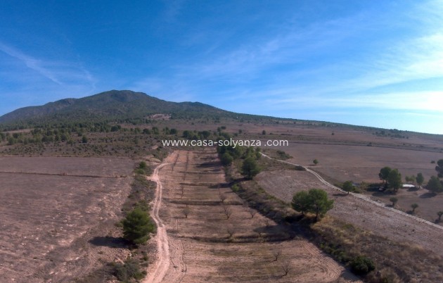 Revente - Land - Yecla - Inland