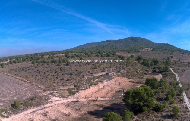 Revente - Land - Yecla - Inland