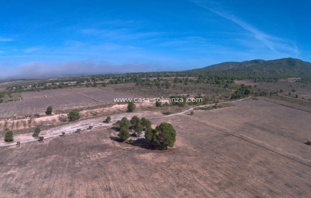 Revente - Land - Yecla - Inland