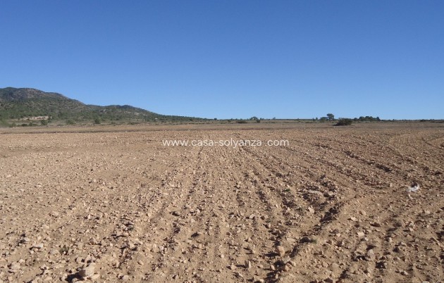 Revente - Land - Yecla - Inland