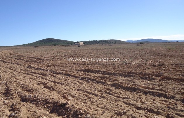 Revente - Land - Yecla - Inland