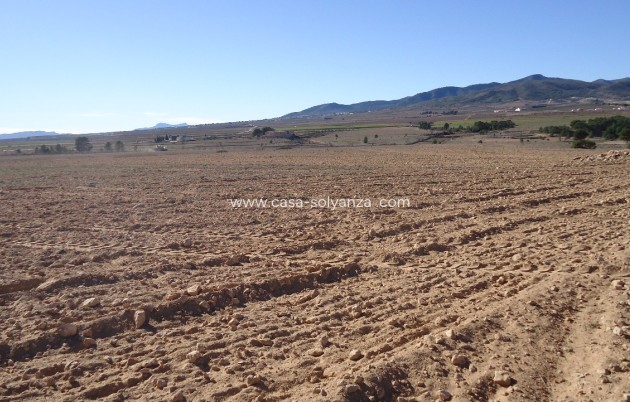 Revente - Land - Yecla - Inland
