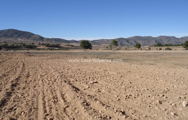 Revente - Land - Yecla - Inland