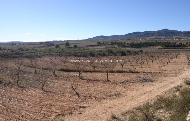 Revente - Land - Yecla - Inland