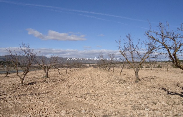 Revente - Land - Yecla - Inland